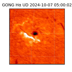 gong - 2024-10-07T05:00:02