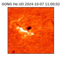 gong - 2024-10-07T11:00:02