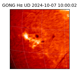 gong - 2024-10-07T10:00:02