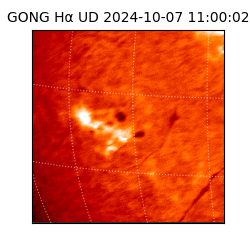 gong - 2024-10-07T11:00:02