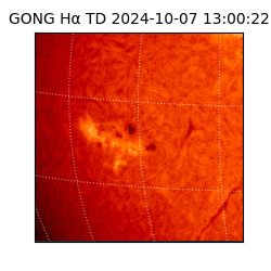 gong - 2024-10-07T13:00:22