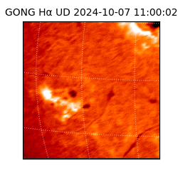 gong - 2024-10-07T11:00:02