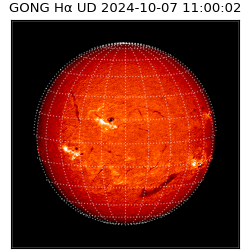 gong - 2024-10-07T11:00:02
