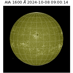 saia - 2024-10-08T09:00:14.131000