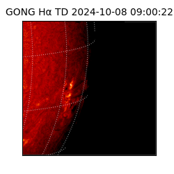 gong - 2024-10-08T09:00:22