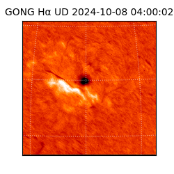 gong - 2024-10-08T04:00:02