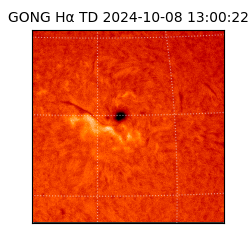 gong - 2024-10-08T13:00:22