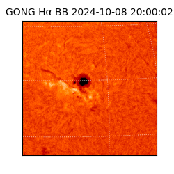 gong - 2024-10-08T20:00:02