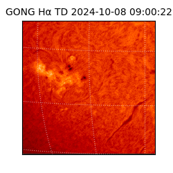 gong - 2024-10-08T09:00:22