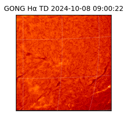 gong - 2024-10-08T09:00:22