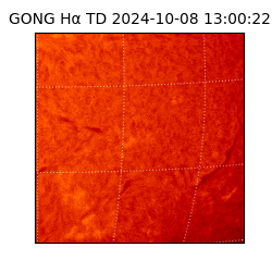 gong - 2024-10-08T13:00:22