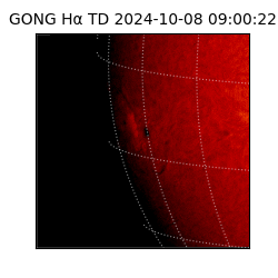 gong - 2024-10-08T09:00:22