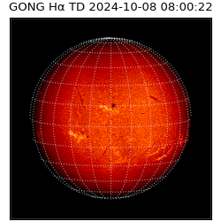 gong - 2024-10-08T08:00:22