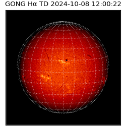 gong - 2024-10-08T12:00:22