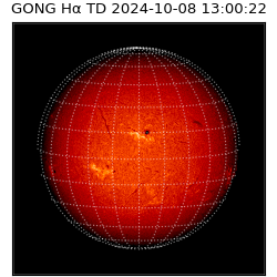 gong - 2024-10-08T13:00:22