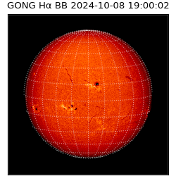 gong - 2024-10-08T19:00:02
