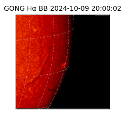 gong - 2024-10-09T20:00:02