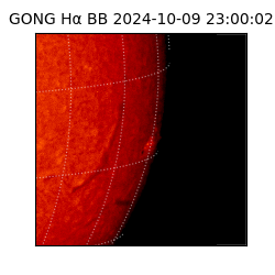 gong - 2024-10-09T23:00:02