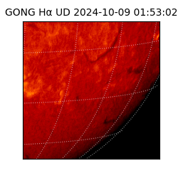 gong - 2024-10-09T01:53:02