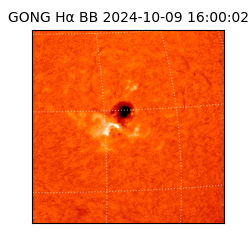 gong - 2024-10-09T16:00:02