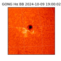 gong - 2024-10-09T19:00:02