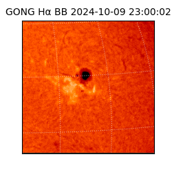 gong - 2024-10-09T23:00:02