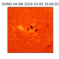 gong - 2024-10-09T19:00:02