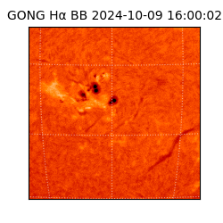 gong - 2024-10-09T16:00:02