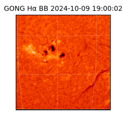 gong - 2024-10-09T19:00:02