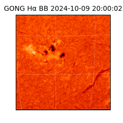 gong - 2024-10-09T20:00:02