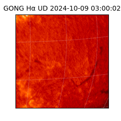 gong - 2024-10-09T03:00:02