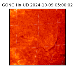 gong - 2024-10-09T05:00:02