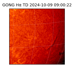 gong - 2024-10-09T09:00:22