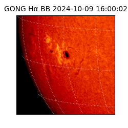 gong - 2024-10-09T16:00:02