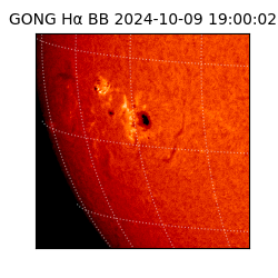gong - 2024-10-09T19:00:02