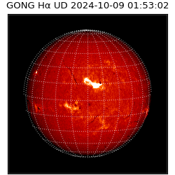 gong - 2024-10-09T01:53:02