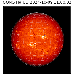 gong - 2024-10-09T11:00:02