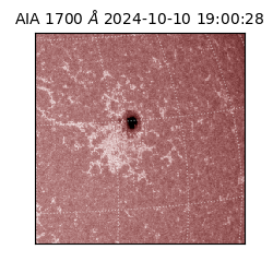 saia - 2024-10-10T19:00:28.709000