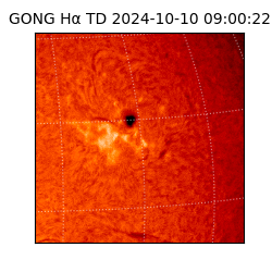 gong - 2024-10-10T09:00:22