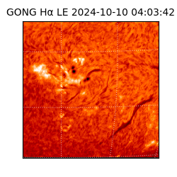 gong - 2024-10-10T04:03:42