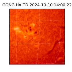 gong - 2024-10-10T14:00:22