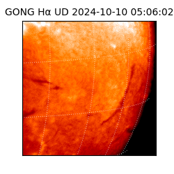 gong - 2024-10-10T05:06:02