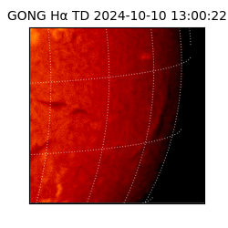 gong - 2024-10-10T13:00:22