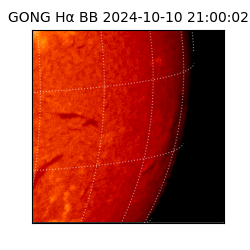 gong - 2024-10-10T21:00:02