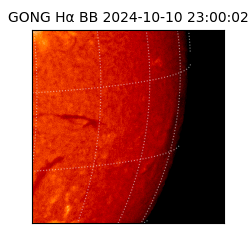 gong - 2024-10-10T23:00:02