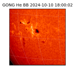 gong - 2024-10-10T18:00:02