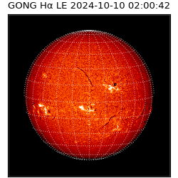 gong - 2024-10-10T02:00:42