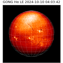gong - 2024-10-10T04:03:42