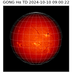 gong - 2024-10-10T09:00:22