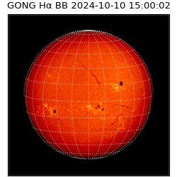 gong - 2024-10-10T15:00:02